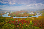 Moselle loop near Trittenheim, Rhineland-Palatinate, Germany