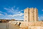 Roman Bridge and Calahorra Tower, Cordoba, Andalusia, Spain