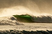 Andalusien, Atlantik, Cadiz, Costa de la Luz, Europa, Spanien, Tarifa, Wasser, Welle, A75-1139436, AGEFOTOSTOCK