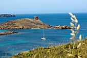 Menorca, Torreta de Tramuntana, North Coast
