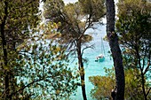 Menorca, Balearic Islands, Spain, Cala Mitjaneta