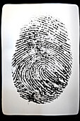 fingerprint