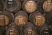 Port wine barrels, for maturing, wine cellars; Vila Nova de Gaia, Porto, Portugal