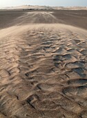 Namibia - The strong wind blows the sand from tiny sand dunes which form around the scanty vegetation towards the belt of large dunes In the northern Namib Desert Skeleton Coast Park, Namibia