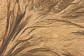 Namibia - Structural forms in the sand of a dry riverbed Namib Desert, Skeleton Coast Park, Namibia