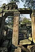 Ta Prohm temple. Angkor. Cambodia.