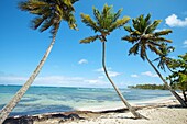Beach. Las Galeras. Samana Peninsula. Dominican Republic. West Indies. Caribbean.