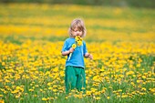 boy with long hair standing in a dandelion field