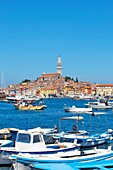 croatia, istria - town of rovinj