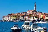 croatia, istria - town of rovinj