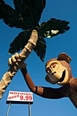 USA, Florida, Florida Panhandle, Panama City Beach, monkey statue at miniature golf course