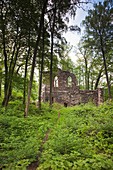 Latvia, Northeastern Latvia, Vidzeme Region, Gauja National Park, Sigulda, ruins of Krimulda Castle, b 1273