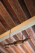 Estonia, Tallinn, Old Town, Raekoja Plats, Town Hall Square, Town Council Pharmacy, b 1422, small aligator hanging from ceiling