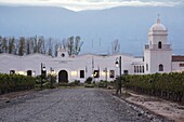 Argentina, Salta Province, Valles Calchaquies, Cafayate, Bodega El Esteco winery, dawn