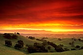 Sunset in the hills near Los Olivos, Santa Barbara County, California