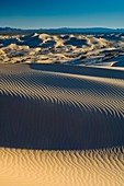Wind blown patterns in sand dunes in morning light, North Algodones Dunes Wilderness, Imperial County, California