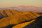 Sunrise light on hills and the distant Mount San Gorgonia peak from Keys View, Joshua Tree National Park, California