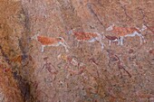 Cave paintings in the Mountains Branberg, Namib Desert, Namibia, Africa