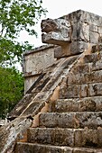Plataforma de los Jaguares y las Águilas Yacimiento Arqueológico Maya de Chichén Itzá Estado de Yucatán, Península de Yucatán, México, América