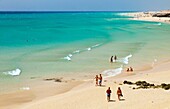 Playa Esmeralda Península de Jandía Isla Fuerteventura Provincia Las Palmas Islas Canarias España