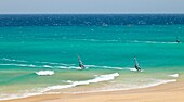 Windsurf Playa de Sotavento Península de Jandía Isla Fuerteventura Provincia Las Palmas Islas Canarias España