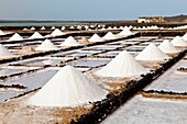 Salinas de Janubio Isla Lanzarote Provincia Las Palmas Islas Canarias España