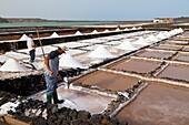 Salinas de Janubio Isla Lanzarote Provincia Las Palmas Islas Canarias España