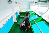 Excursión marítima en barco de fondo de vidrio para observación submarinal Parque Natural Isla de Lobos Isla Fuerteventura Provincia Las Palmas Islas Canarias España
