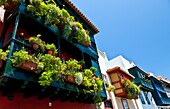 Arquitectura tradicional Balcones Típicos Avenida Marítima Ciudad Santa Cruz de la Palma Isla La Palma Provincia Santa Cruz Islas Canarias España