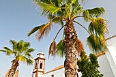 Iglesia Nta Sra de la Antigua Pueblo de Antigua Isla Fuerteventura Provincia Las Palmas Islas Canarias España