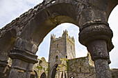 Jerpoint Abbey, Thomastown, Co. Kilkenny, Ireland