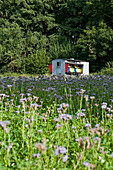 Beehive cart, beekeeping, Island of Rügen, Mecklenburg-Vorpommern, Germany