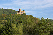 Burganlage Berwartstein bei Erlenbach, Pfälzerwald, Rheinland-Pfalz, Deutschland, Europa