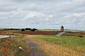 Landscape near Itero del Castillo, Camino Frances, Way of St. James, Camino de Santiago, pilgrims way, UNESCO World Heritage, European Cultural Route, province of Burgos, Old Castile, Castile-Leon, Castilla y Leon, Northern Spain, Spain, Europe