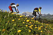 People on mountain bikes at Eggenalm, in the background the Wilder Kaiser, Reit im Winkl, Bavaria, Germany, Europe