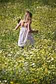 Female, field, flower, girl, spring, young, F57-1147466, AGEFOTOSTOCK