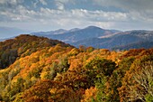 Autumn, Great Smoky Mountains National Park