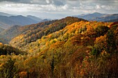 Autumn, Great Smoky Mountains National Park