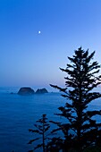 USA, Oregon, Tillamook County, Cape Meares State Park, sea stacks in Pacific ocean off Cape Meares, sitka spruce trees Picea sitchensis, setting moon at dusk, August, vertical