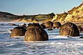 Moeraki boulders, septarian concretions, Moeraki, North Otago Coast, New Zealand