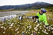 Cycle tourer rests among daisies and blue borage flowers, snow on tops, Clarence River, Molesworth station, North Canterbury, New Zealand