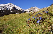 Gra de Fajol 2708m Valle del Ter Girona Kordilleren Katalonien Spanien