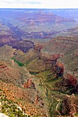 Bright Angel Fault Grand Canyon National Park Arizona