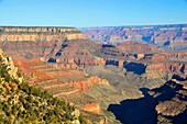 Grandview Point Grand Canyon National Park Arizona