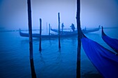 Gondolier in Venice, Veneto, Italy