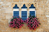 Paladian windows with flowers Domme fortress Dordogne Aquitaine France travel tourist destination hilltown