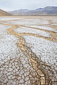 Clark Dry Lake, Anza-borrego Desert State Park California