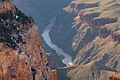 View of the Colorado River from Hopi Point, Grand Canyon National Park Arizona