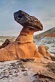 Rimrock Toadstools, Grand Staircase Escalante National Monument Utah