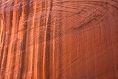 Buckskin Gulch Paria Canyon-Vermilion Cliffs Wilderness Arizona
